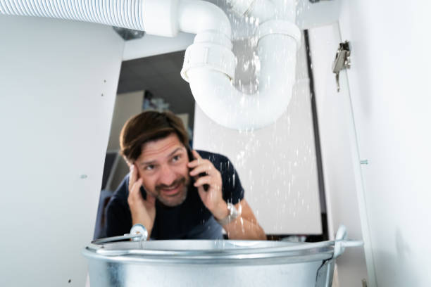 Best Plumbing Repair Near Me  in Pocono Ranch Lands, PA